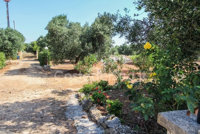 Villetta indipendente immersa nella campagna assoluto relax. Torre Vado - Foto 4