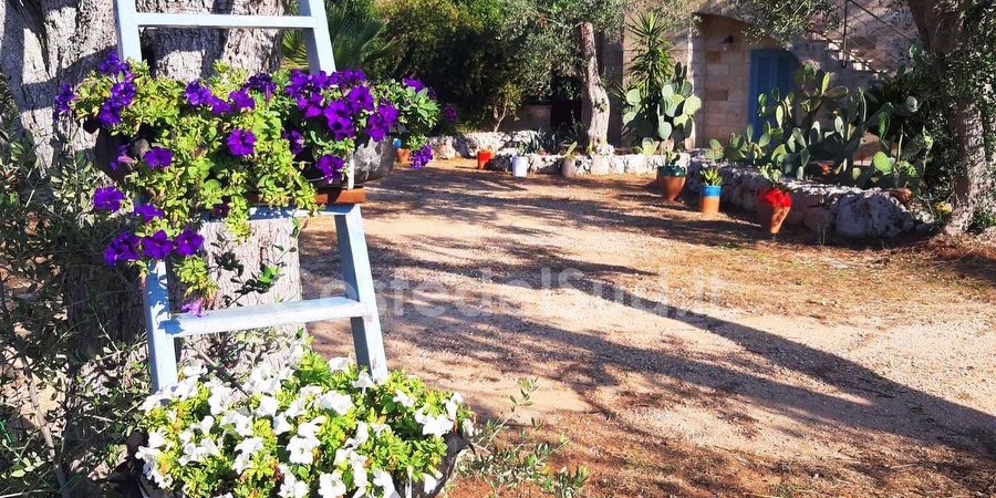 Foto della Casa Vacanza Codice 243