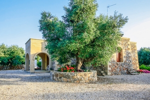 Casa Vacanza 244 mobile