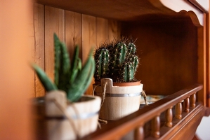 Corte del Balzo 1 camera Ugento - Foto 5