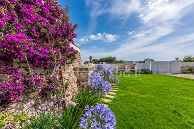 Villetta Olivo Torre San Giovanni - Foto 28