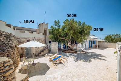 Villetta Olivo Torre San Giovanni - Foto 3