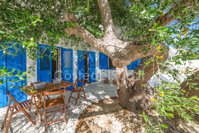 Villetta Olivo Torre San Giovanni - Foto 5