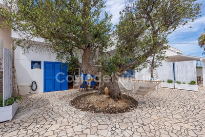 Villetta Olivo Torre San Giovanni - Foto 8