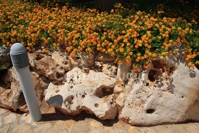 Appartamento ben arredato in mini residence  2 camere con piscina  Santa Maria di Leuca - Foto 21