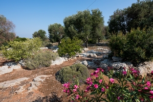 Un esperienza unica in un alloggio unico Capilungo - Foto 11