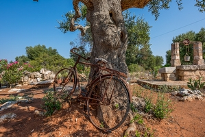 Un esperienza unica in un alloggio unico Capilungo - Foto 18