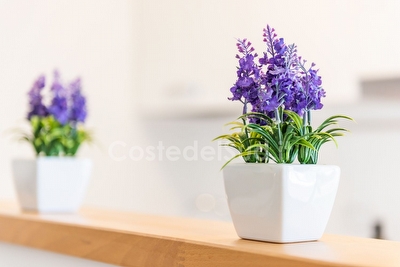 Monolocale Superior in formula residence con piscina e animazione Porto Cesareo - Foto 13