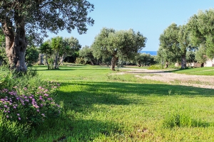 Trullo immerso nel verde vista panoramica sul mare Torre Vado - Foto 10