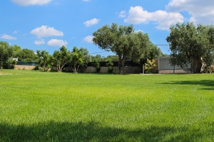 Trullo immerso nel verde vista panoramica sul mare Torre Vado - Foto 12