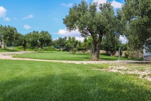 Trullo immerso nel verde vista panoramica sul mare Torre Vado - Foto 6