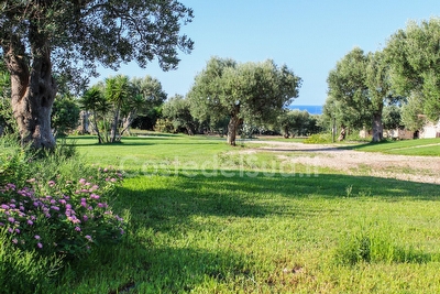 Trullo immerso nel verde vista panoramica sul mare Torre Vado - Foto 13