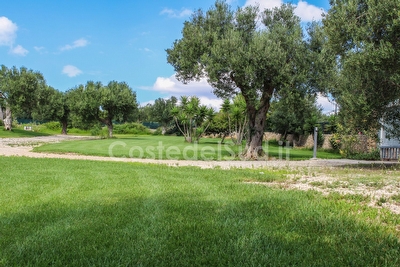 Trullo immerso nel verde vista panoramica sul mare Torre Vado - Foto 6