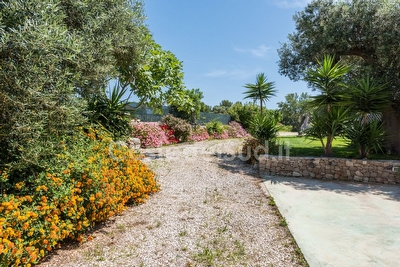 Trullo immerso nel verde vista panoramica sul mare Torre Vado - Foto 7