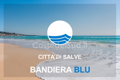 Appartamento bilocale piano terra vista mare spiaggia pieno centro  Pescoluse - Foto 30