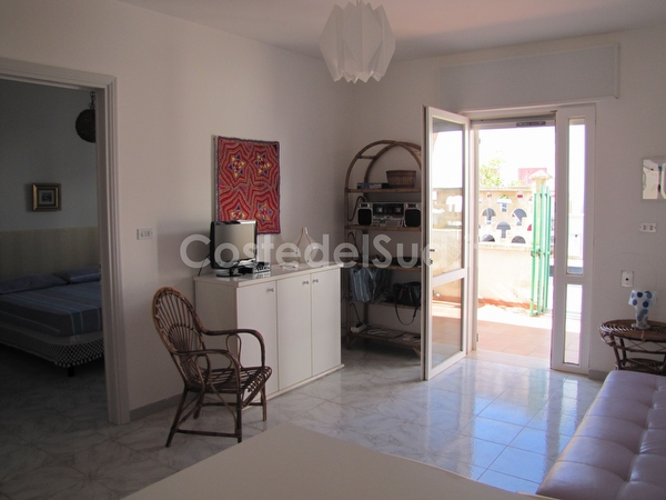 Comodo trilocale a pochi passi dal mare Torre Pali