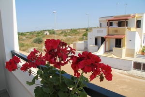 Appartamento primo piano ben arredato e totalmente climatizzato. Torre Pali - Foto 16