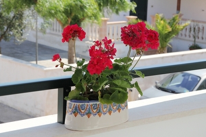 Appartamento primo piano ben arredato e totalmente climatizzato. Torre Pali - Foto 17