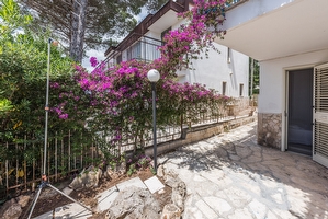 Casa vacanza, giardino, 3 camere  Porto Cesareo - Foto 9