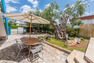 Casa vacanza, giardino, 3 camere  Porto Cesareo - Foto 6