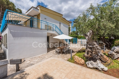 Casa vacanza, giardino, 3 camere  Porto Cesareo - Foto 7