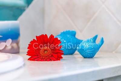 Casa vacanza a pochi passi dalle spiagge di sabbia Pescoluse - Foto 24