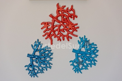 Appartamento a pochi passi da lidi sabbiosi Pescoluse - Foto 19