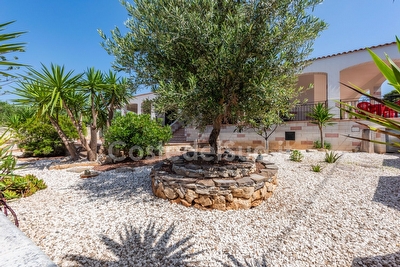 Cod 357 Bi-famigliare, grande e comoda, 5 camere vista mare Torre Vado - Foto 18