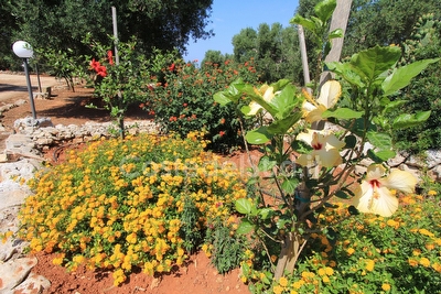 Villetta Torre Vado immersa nella natura Torre Vado - Foto 4