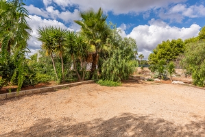 Casa vacanza nel verde della macchia mediterranea  Pescoluse - Foto 2
