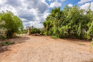 Casa vacanza nel verde della macchia mediterranea  Pescoluse - Foto 3