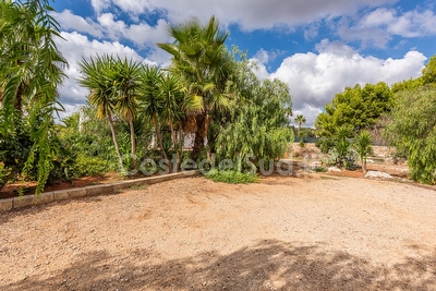 Casa vacanza nel verde della macchia mediterranea  Pescoluse - Foto 2