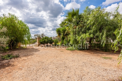 Casa vacanza nel verde della macchia mediterranea  Pescoluse - Foto 3