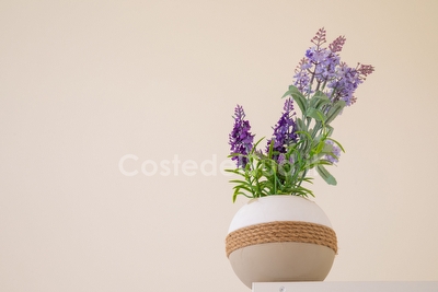 Appartamento piano primo spazi esterni mare con tanta sabbia a piedi. Lido Marini - Foto 24