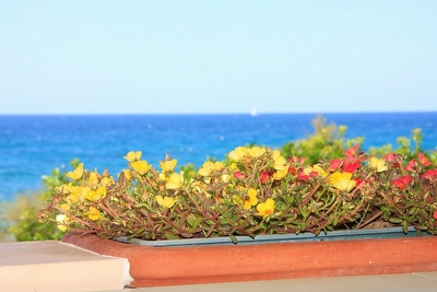 Casa vacanza fronte mare. Torre Suda - Foto 10