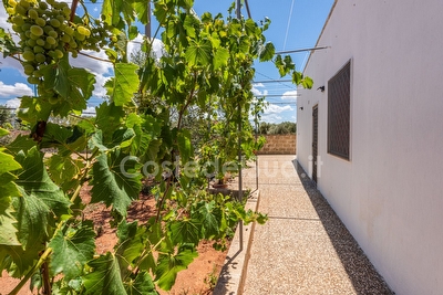 Villetta 3 camere Mancaversa - Foto 28