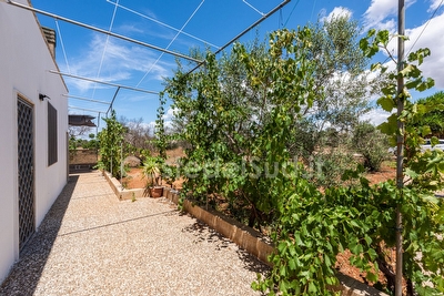 Villetta 3 camere Mancaversa - Foto 4