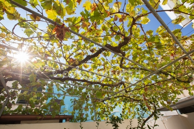 Appartamento piano terra parcheggio privato centro e mare a piedi. Torre Pali - Foto 23