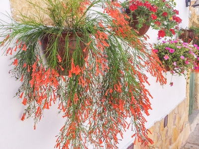 I camini antichi - Monolocale ristrutturato centro storico