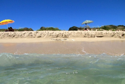 Appartamento comodo con spiagge sabbiose e passeggio vicini. Lido Marini