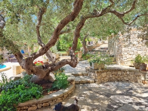 Villetta indipendente immersa nella natura con superba vista mare. Marina di Novaglie - Foto 11