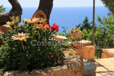 Villetta indipendente immersa nella natura con superba vista mare. Marina di Novaglie - Foto 19