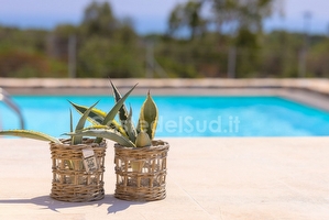Villetta con piscina esclusiva immersa nel verde. Torre Pali - Foto 15