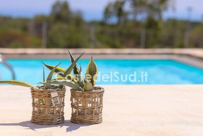 Villetta con piscina esclusiva immersa nel verde. Torre Pali - Foto 15