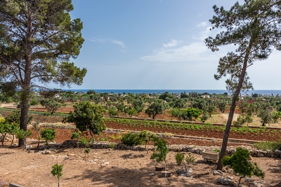 Villetta immersa nella natura con vista mare Torre Suda - Foto 10