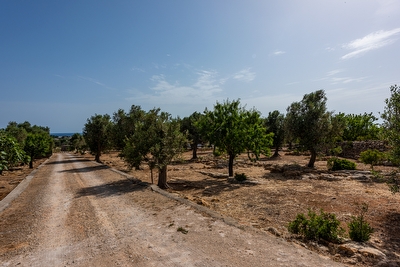 Villetta immersa nella natura con vista mare