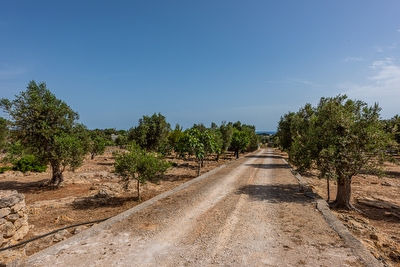 Villetta immersa nella natura con vista mare