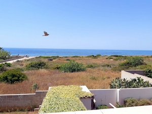 Appartamento con incantevole vista mare. Centro vicino e mare a pochi passi. Lido Marini - Foto 11