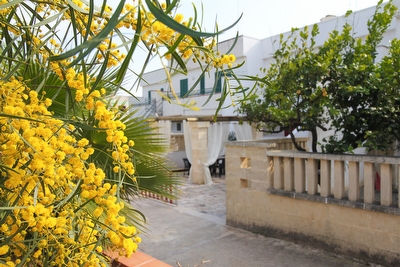 A pochi passi dal lungo mare e dalle spiagge.