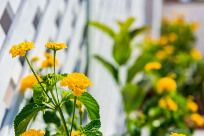 Appartamento con patio - interni ben rifiniti - comodo e centrale